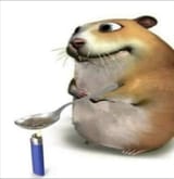 gerbil crack