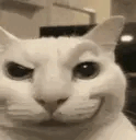 1749669481558823