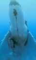 1624539523668[sound=files.catbox.moe%2Fh708nu.mp3]_thumb.jpg