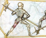 lucerne