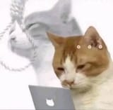 1731324250173200