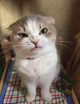 dTah6YGk5AU