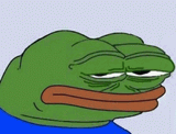 304654900