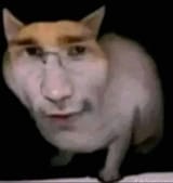 cat096
