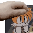 the-murder-of-sonic-the-hedgehog-tails-petpet