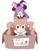Dolce &amp; Pico Box