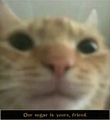 1737081322743118