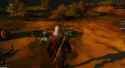 The Witcher 3 2022-09-03 22-58-27 Horse runing away from you_thumb.jpg