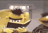 bert_eyes