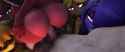 a4f4c139e43096ca8ce7336856a80a25-1_thumb.jpg