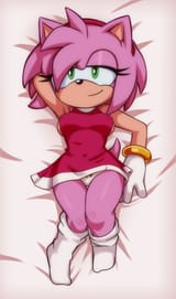 amy rose pillow