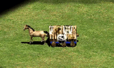 AO2 horse
