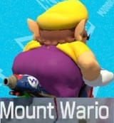 1614913999299