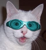 1506366013961