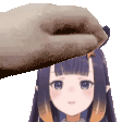 squidder
