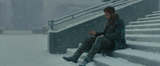 gosling sitting on stairs