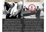 asch and milgram experiment