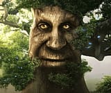 wise mystical tree