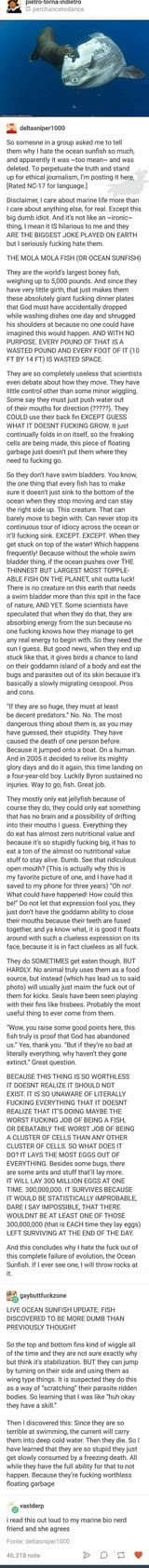 FUCKING OCEAN SUNFISH