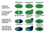 Speciation