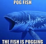 Pogging