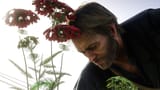 just-arthur-picking-flowers