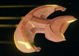 Dkora