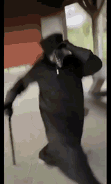1728508474776924