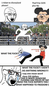 disney world nigger