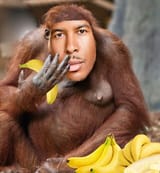 Low_tier_monkey