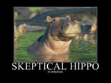 skeptical hippo