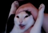wahoo
