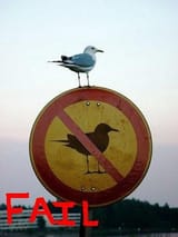 failgull