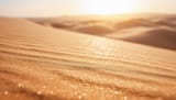 dune-8819202_1280
