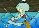 Squid