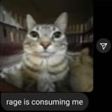 rage is consuming me