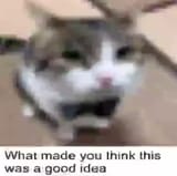 1672885963350931