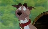 chief surprised
