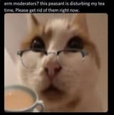 1702935328676636
