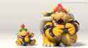 bowser_thumb.jpg