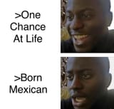 1733786748352913