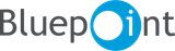 Bluepoint_Games_logo.svg