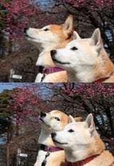 1437871077203