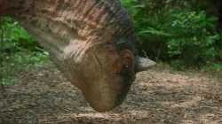 Carnotaurus Dance_thumb.jpg