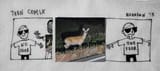 deerfear