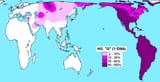 Haplogroup_Q_(Y-DNA)