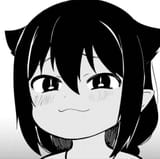 smug cat