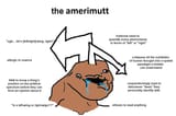 LE LEFT RIGHT