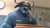 bogo