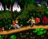 Donkey-Kong-Country